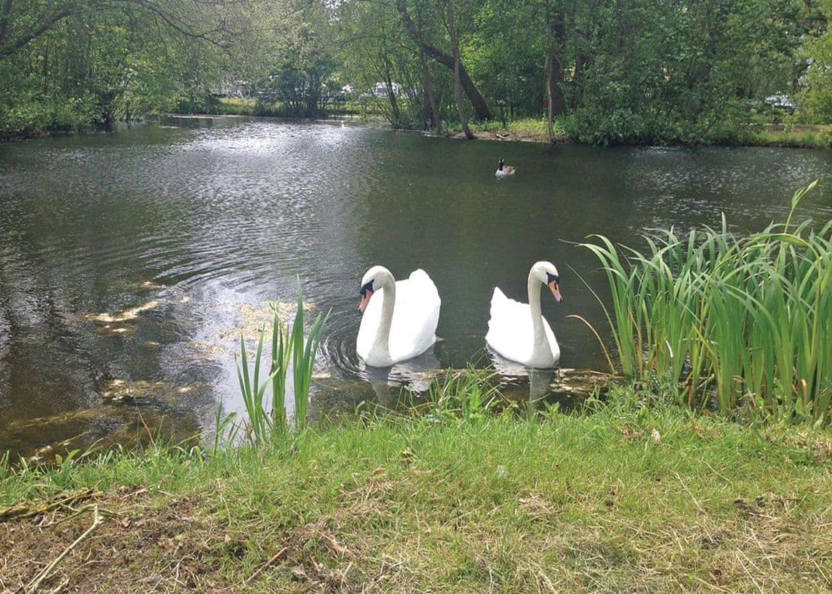 ホテル Barlings Country Park Langworth エクステリア 写真